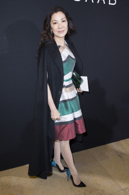 photo 22 in Michelle Yeoh gallery [id830441] 2016-01-31 00:00:00