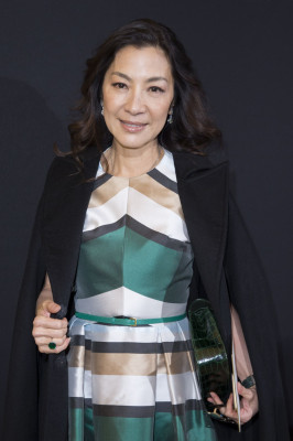 photo 21 in Michelle Yeoh gallery [id830442] 2016-01-31 00:00:00