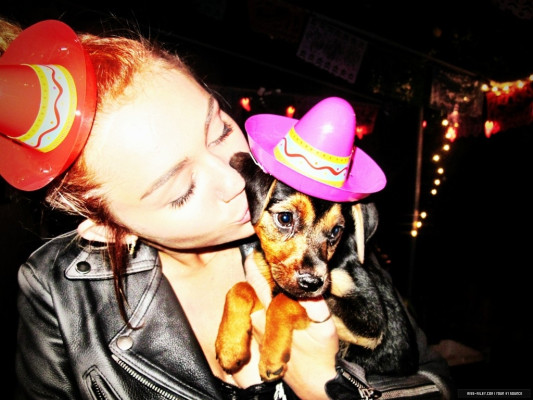 Miley Cyrus pic #486535