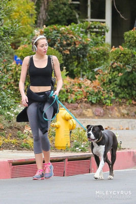Miley Cyrus pic #661082