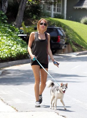 Miley Cyrus pic #484642