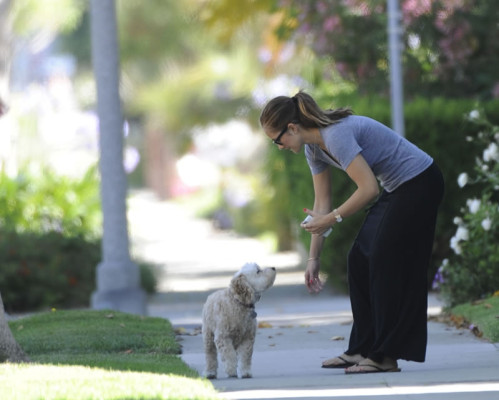 Minka Kelly pic #507872