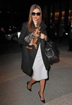 Miranda Kerr pic #580220