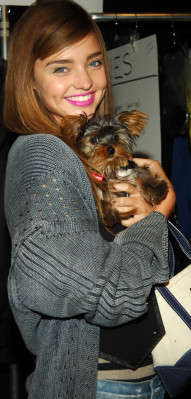 Miranda Kerr pic #203210