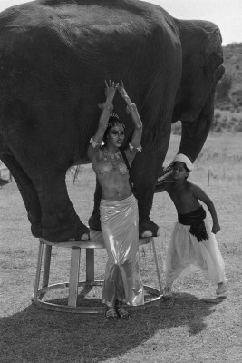 photo 17 in Naomi Campbell gallery [id482135] 2012-04-30 00:00:00