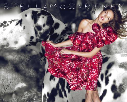 Natalia Vodianova pic #246021