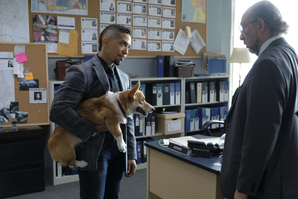 Neil Brown Jr         pic #1271729