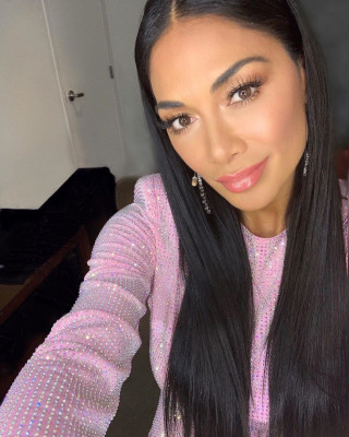 Nicole Scherzinger pic #1211373