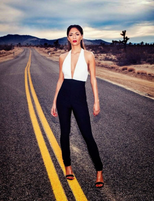 Nicole Scherzinger pic #849590