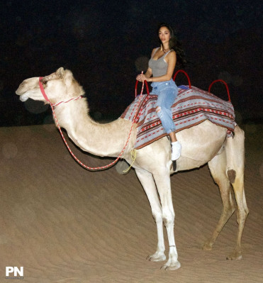 Nicole Scherzinger pic #1022691
