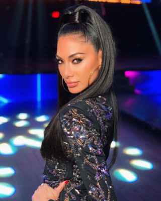 Nicole Scherzinger pic #1217349