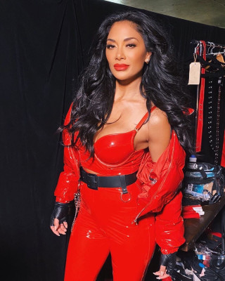 Nicole Scherzinger pic #1208411