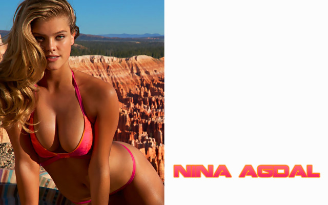 Nina Agdal pic #763409