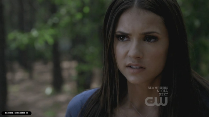 Nina Dobrev pic #474307