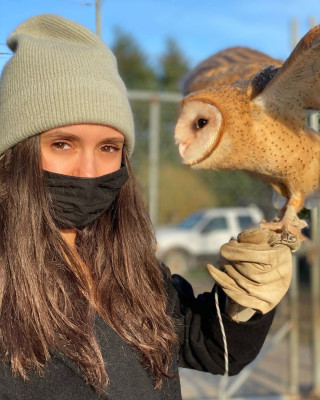 Nina Dobrev pic #1246722