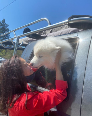 Nina Dobrev pic #1224017