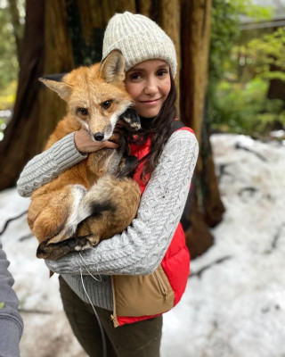 Nina Dobrev pic #1288927