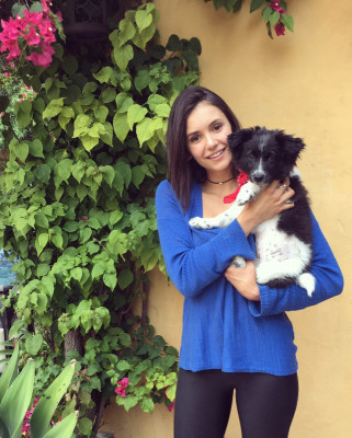 Nina Dobrev pic #1026588