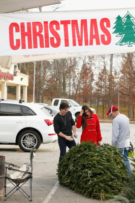 Nina Dobrev pic #560299