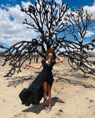 Nina Dobrev pic #1260841