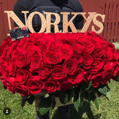Norkys Batista pic #965463