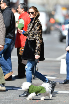 Olivia Palermo pic #799285