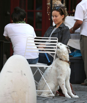 Olivia Wilde pic #532599