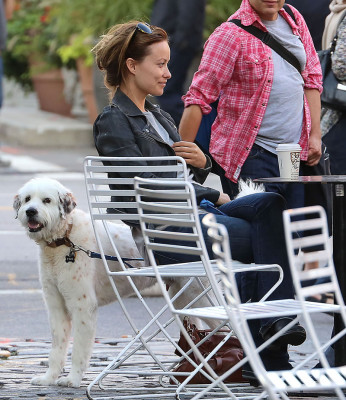 Olivia Wilde pic #532600
