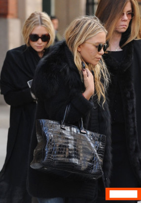 Olsen Twins pic #592115