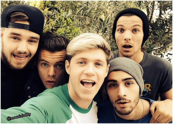 photo 5 in One Direction gallery [id884251] 2016-10-10 00:00:00