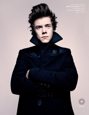 photo 22 in One Direction gallery [id649536] 2013-11-29 00:00:00