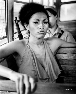 photo 12 in Pam Grier gallery [id119527] 2008-12-08 00:00:00