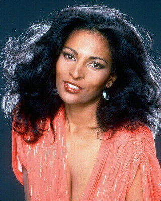 photo 27 in Pam Grier gallery [id226393] 2010-01-15 00:00:00