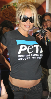 Pamela Anderson pic #216942