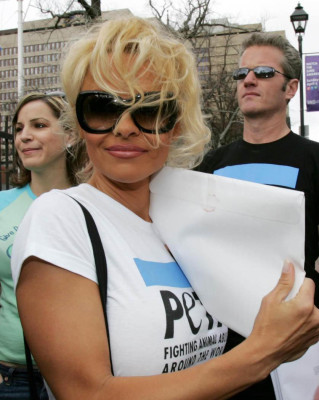 Pamela Anderson pic #733515