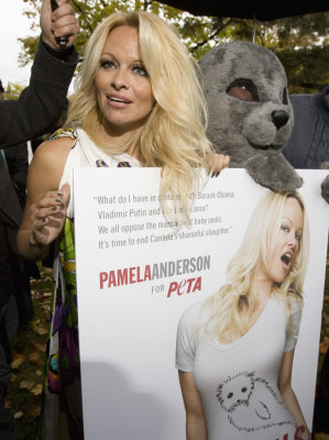 Pamela Anderson pic #195814