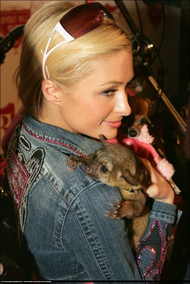 Paris Hilton pic #43254