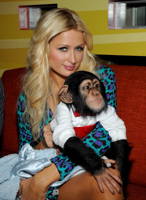 Paris Hilton pic #228113