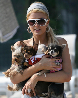 Paris Hilton pic #224791
