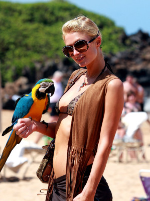 Paris Hilton pic #139857