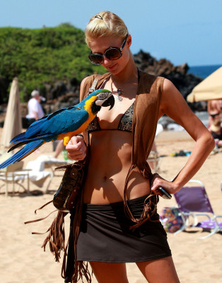 Paris Hilton pic #227975