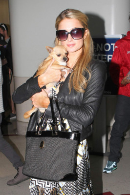 Paris Hilton pic #675772