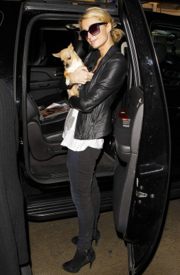 Paris Hilton pic #708966
