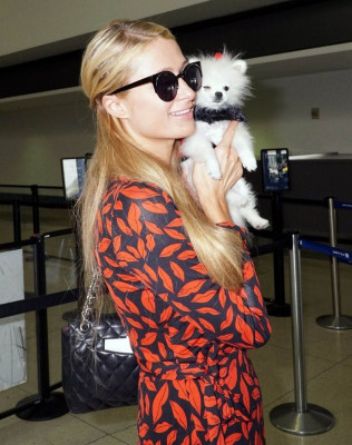 Paris Hilton pic #736465