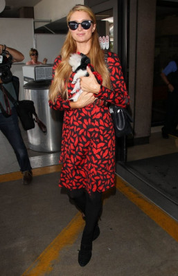 Paris Hilton pic #736469