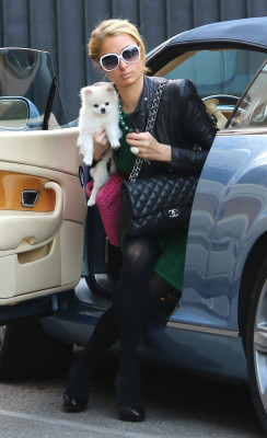 Paris Hilton pic #748815