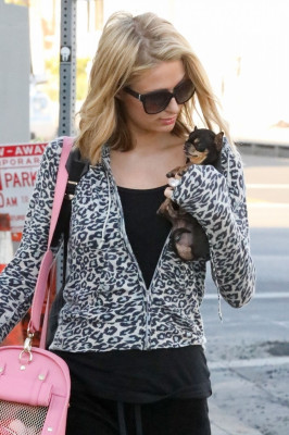 Paris Hilton pic #1006515