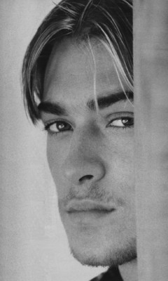 photo 6 in Paul Nicholls gallery [id50905] -0001-11-30 00:00:00