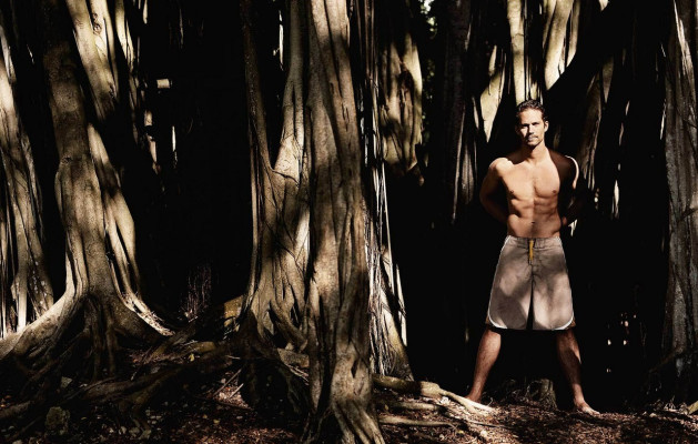 Paul Walker pic #480821
