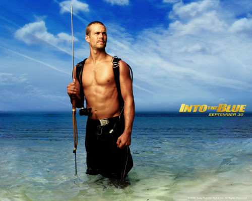 Paul Walker pic #429571